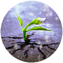 Transmute -- Wounding, the tough stuff