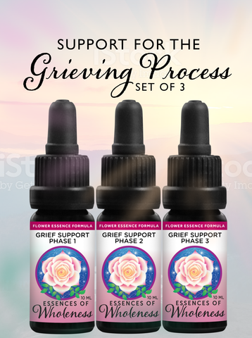 Grief Support - Set of 3 Phases