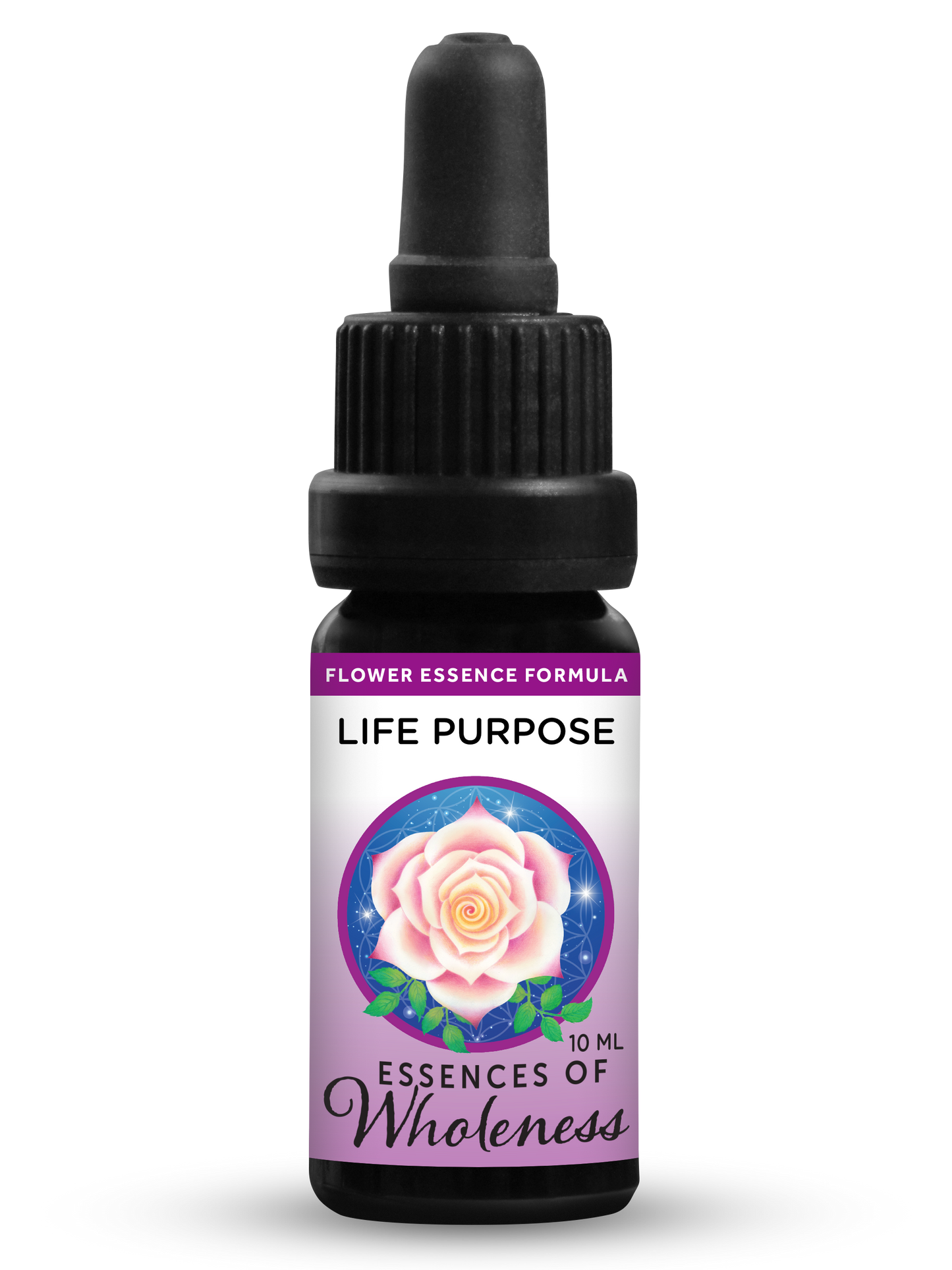 Life Purpose